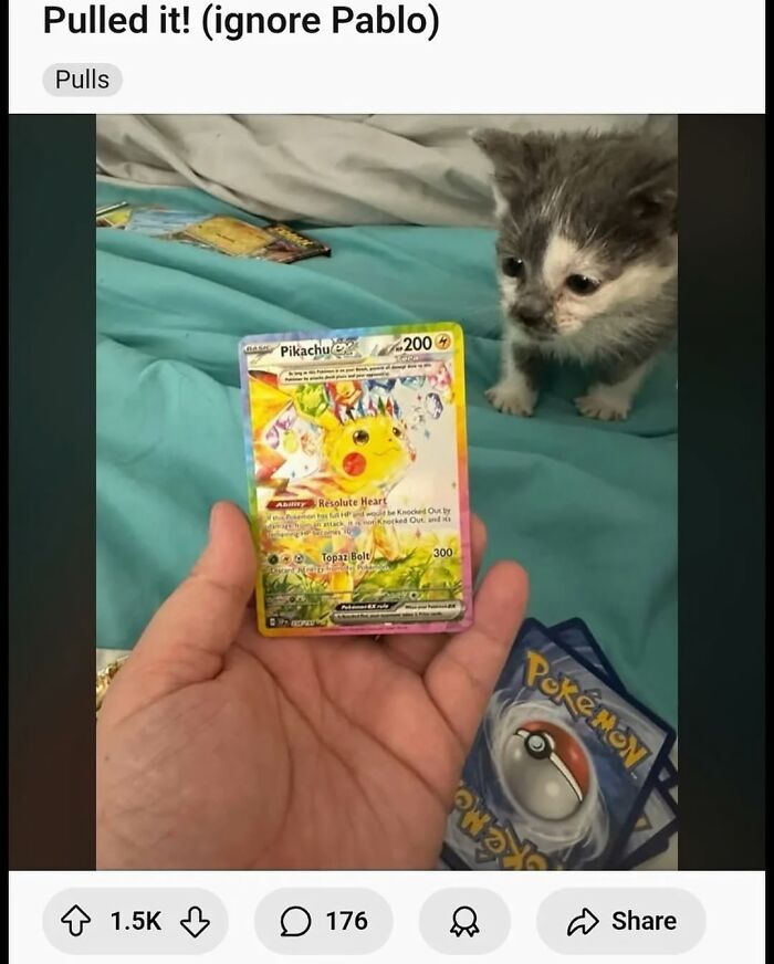 Wait, They Actually Ranked That?! The Funniest Internet Posts You Have to See