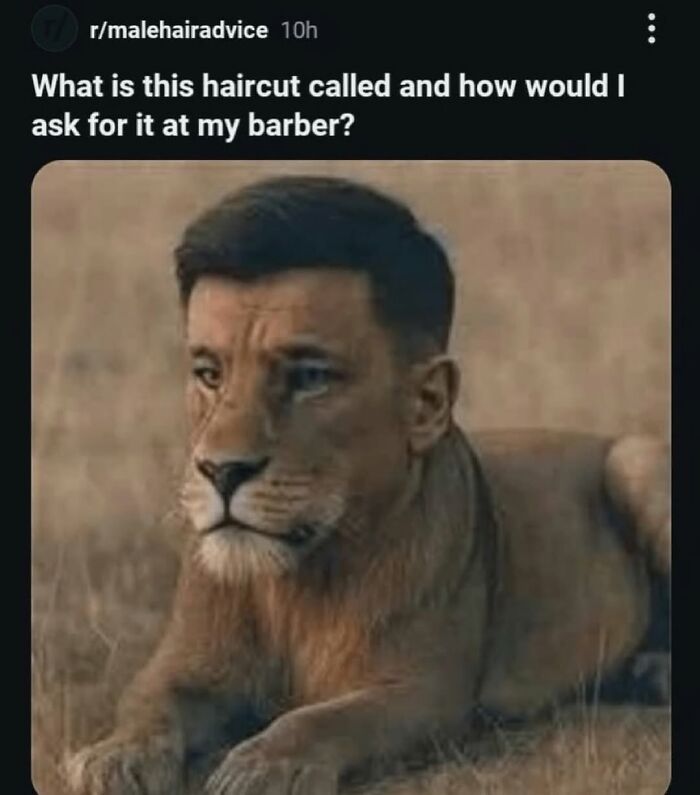 Wait, They Actually Ranked That?! The Funniest Internet Posts You Have to See