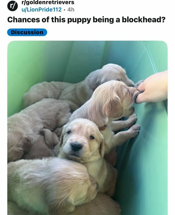 Wait, They Actually Ranked That?! The Funniest Internet Posts You Have to See