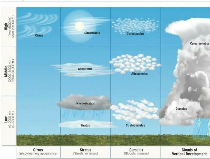 Mind-Blowing Charts That Make Learning Feel Like a Breeze