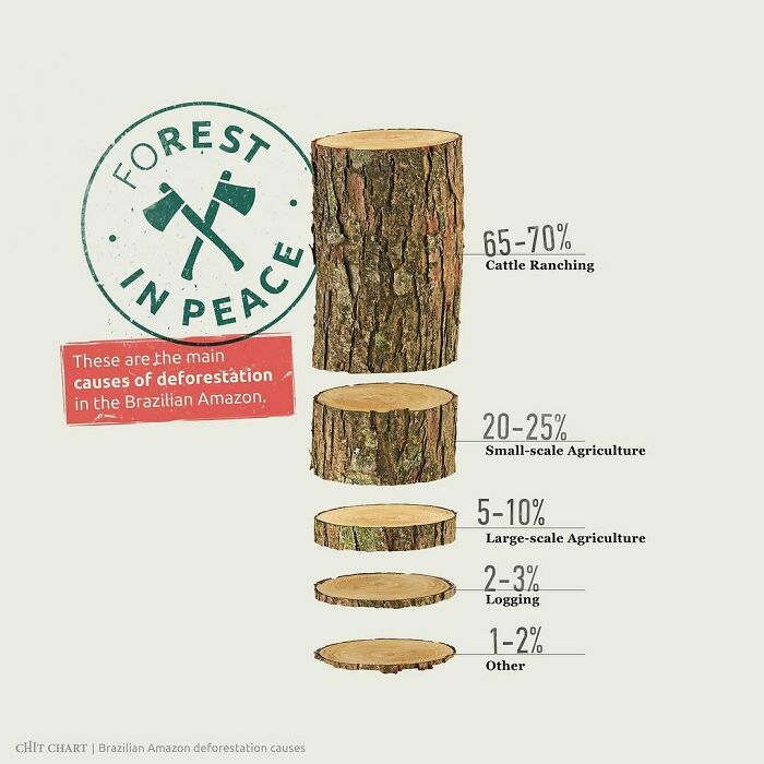 Mind-Blowing Charts That Make Learning Feel Like a Breeze