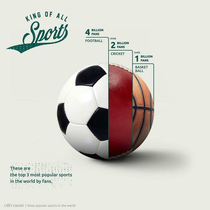 Mind-Blowing Charts That Make Learning Feel Like a Breeze