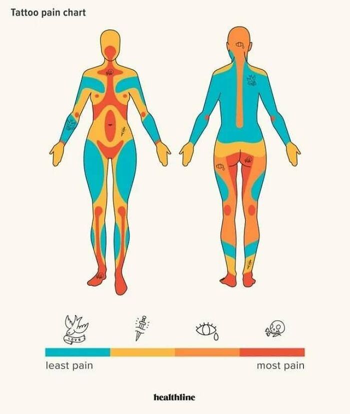 Mind-Blowing Charts That Make Learning Feel Like a Breeze