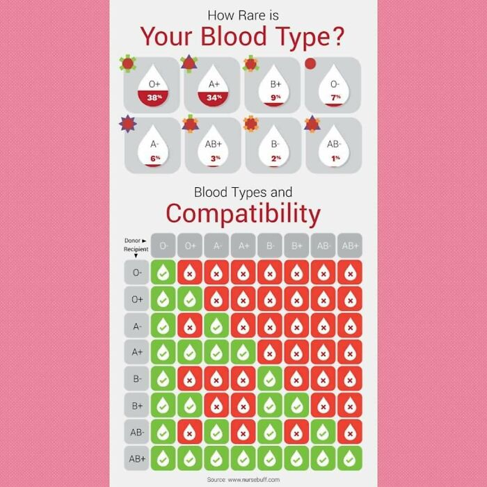Mind-Blowing Charts That Make Learning Feel Like a Breeze