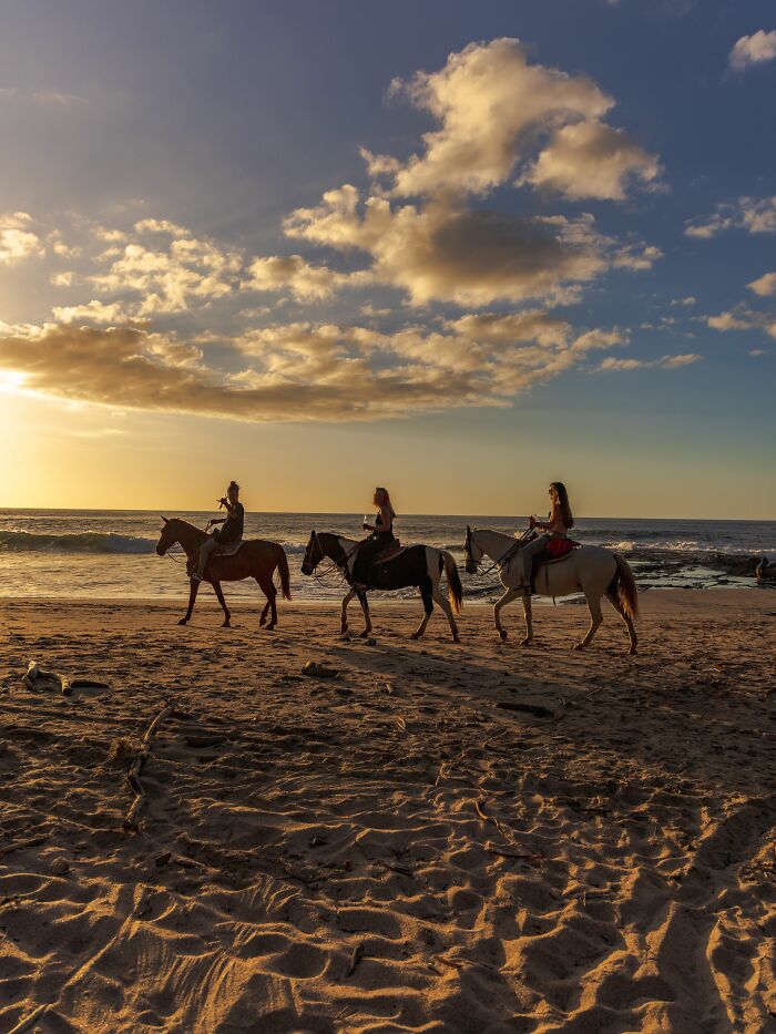 Australia’s Big-Horse Race Day Pause