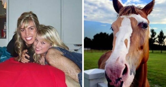 Wait, You Have to Look Twice for These Pics!