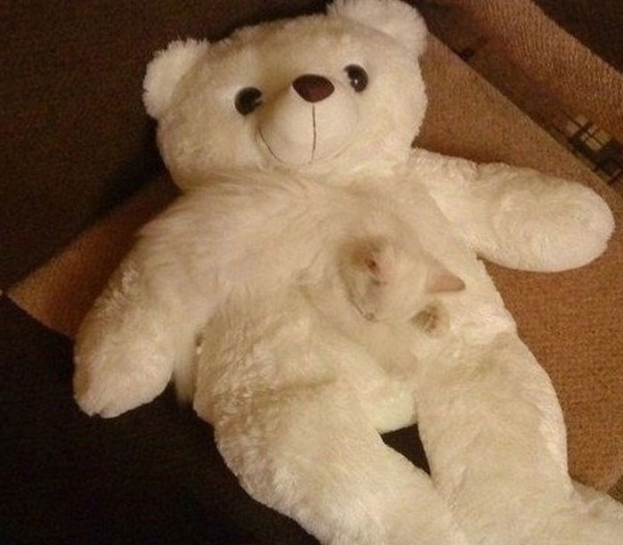 Wait, You Have to Look Twice for These Pics!