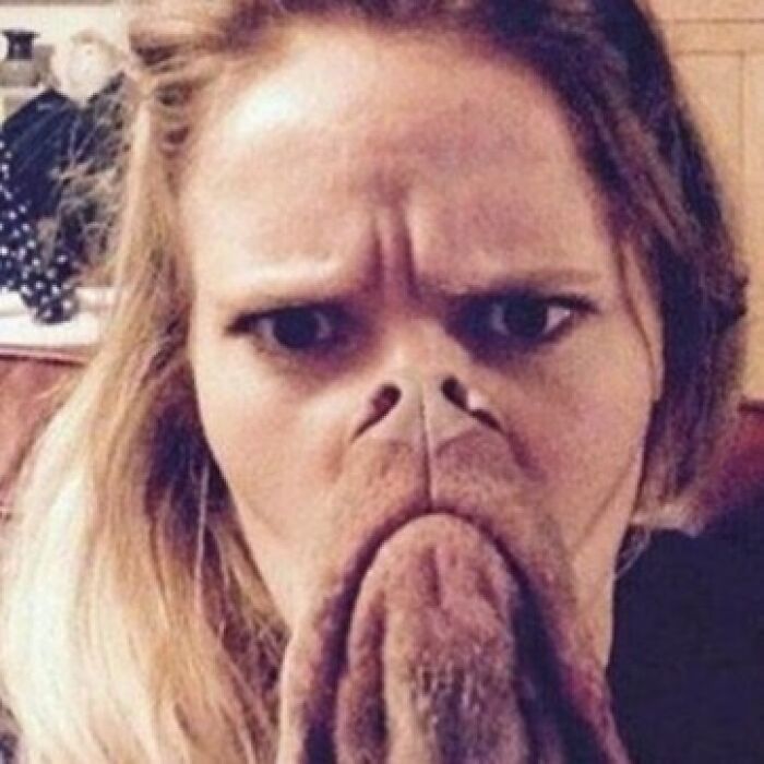 Wait, You Have to Look Twice for These Pics!