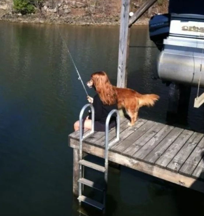 Wait, You Have to Look Twice for These Pics!