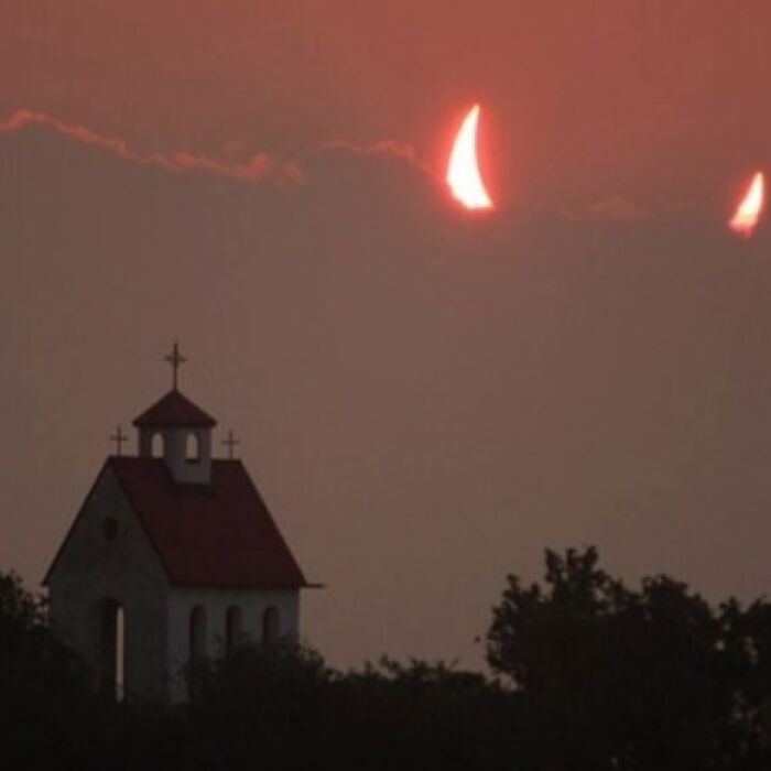 Wait, You Have to Look Twice for These Pics!