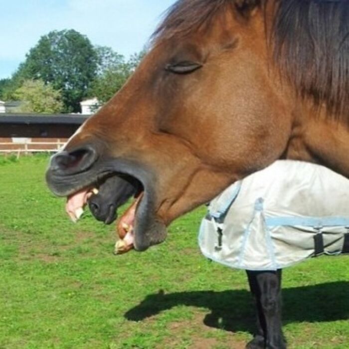 Wait, You Have to Look Twice for These Pics!