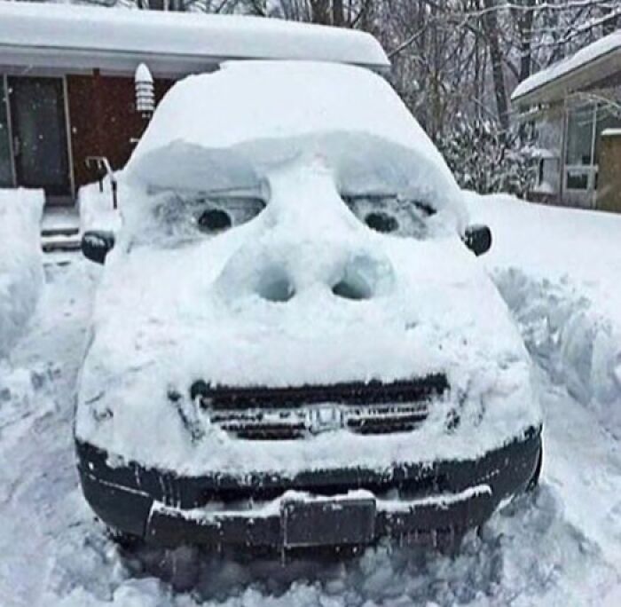 Wait, You Have to Look Twice for These Pics!