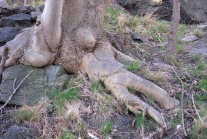 Wait, You Have to Look Twice for These Pics!