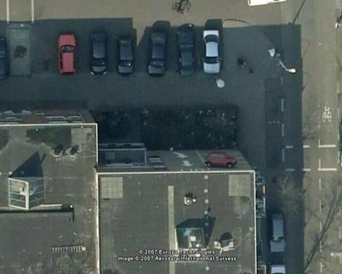 Wait, You Have to Look Twice for These Pics!