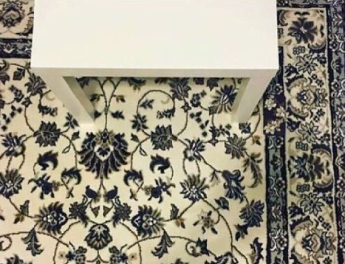 Wait, You Have to Look Twice for These Pics!