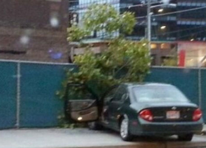 Wait, You Have to Look Twice for These Pics!