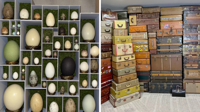 Wait, People Actually Collect This Stuff?! 66 Collections That Will Blow Your Mind