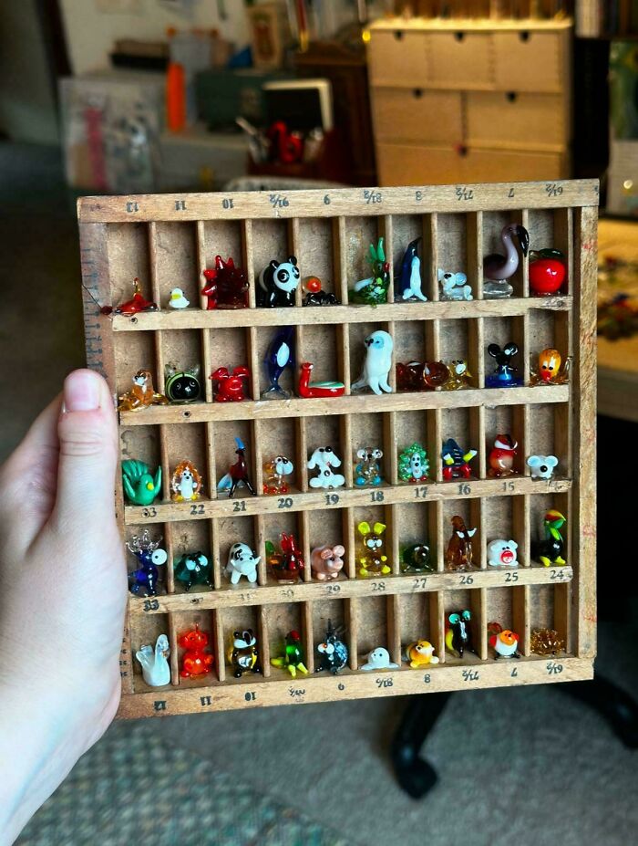 Wait, People Actually Collect This Stuff?! 66 Collections That Will Blow Your Mind