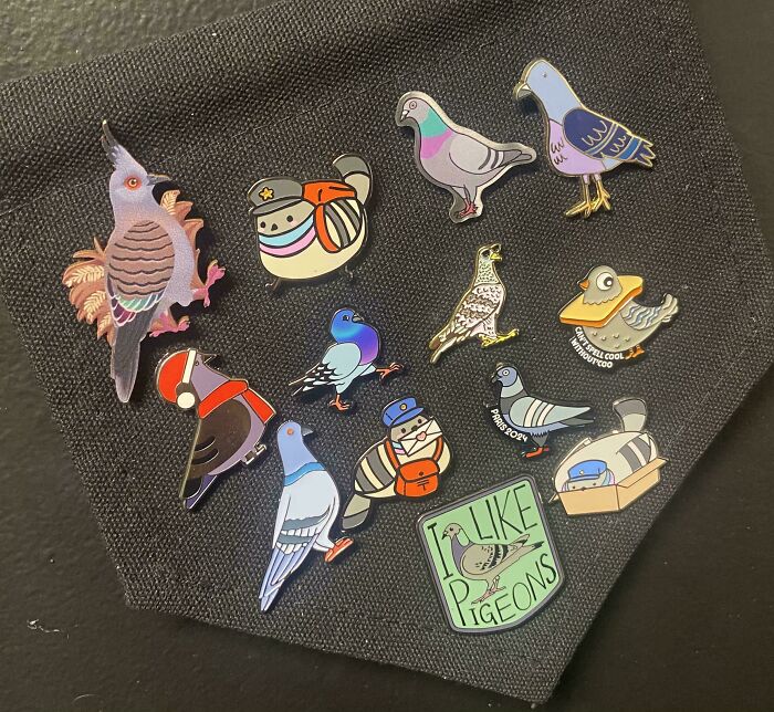 Wait, People Actually Collect This Stuff?! 66 Collections That Will Blow Your Mind