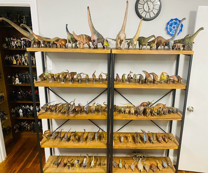 Wait, People Actually Collect This Stuff?! 66 Collections That Will Blow Your Mind
