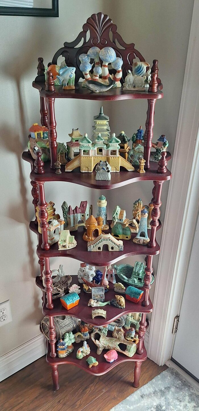 Wait, People Actually Collect This Stuff?! 66 Collections That Will Blow Your Mind