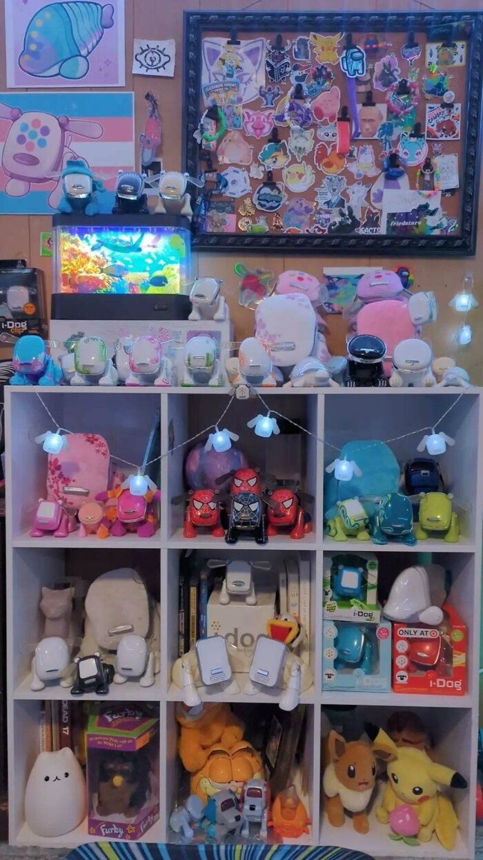 Wait, People Actually Collect This Stuff?! 66 Collections That Will Blow Your Mind