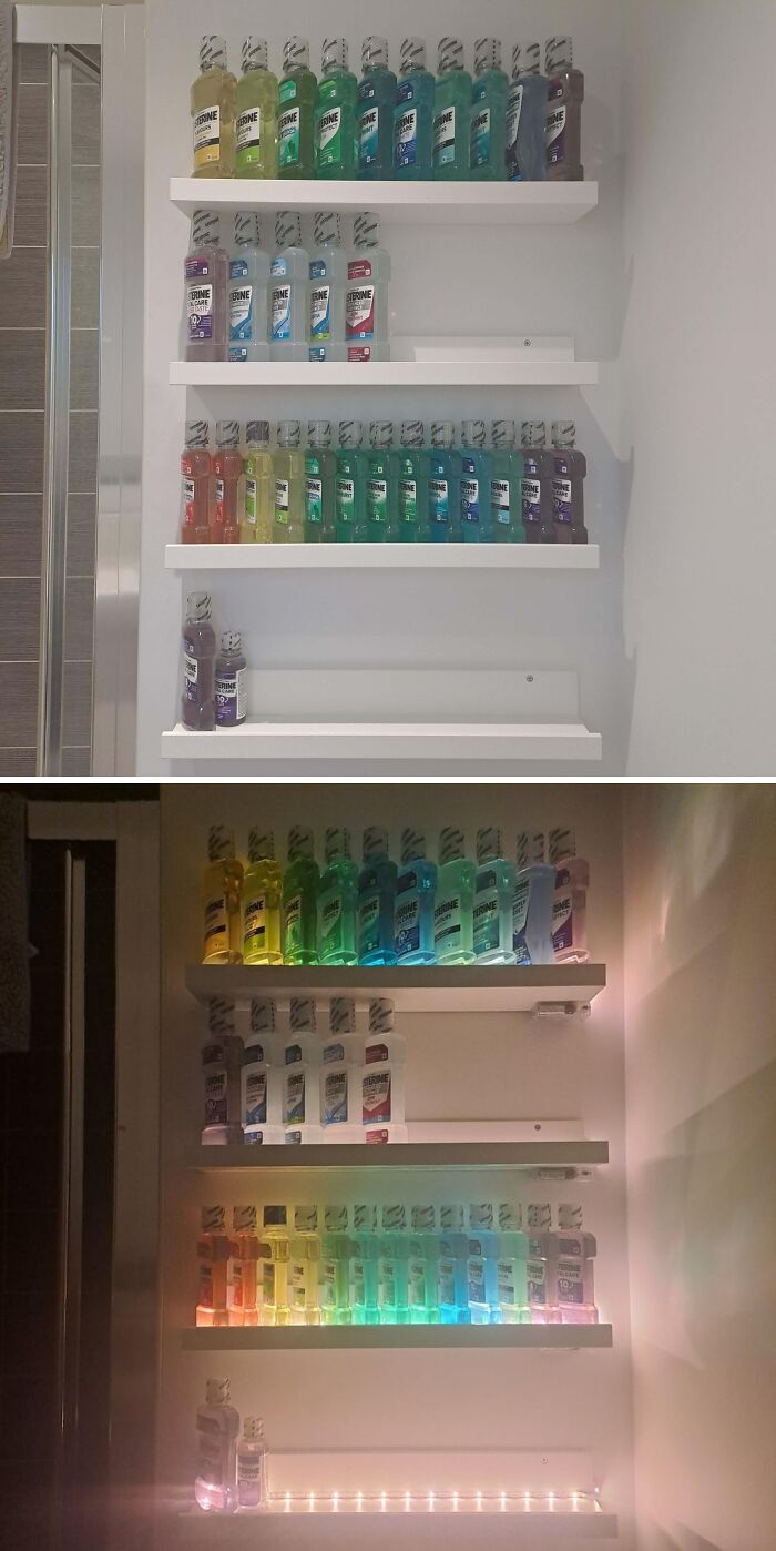 Wait, People Actually Collect This Stuff?! 66 Collections That Will Blow Your Mind