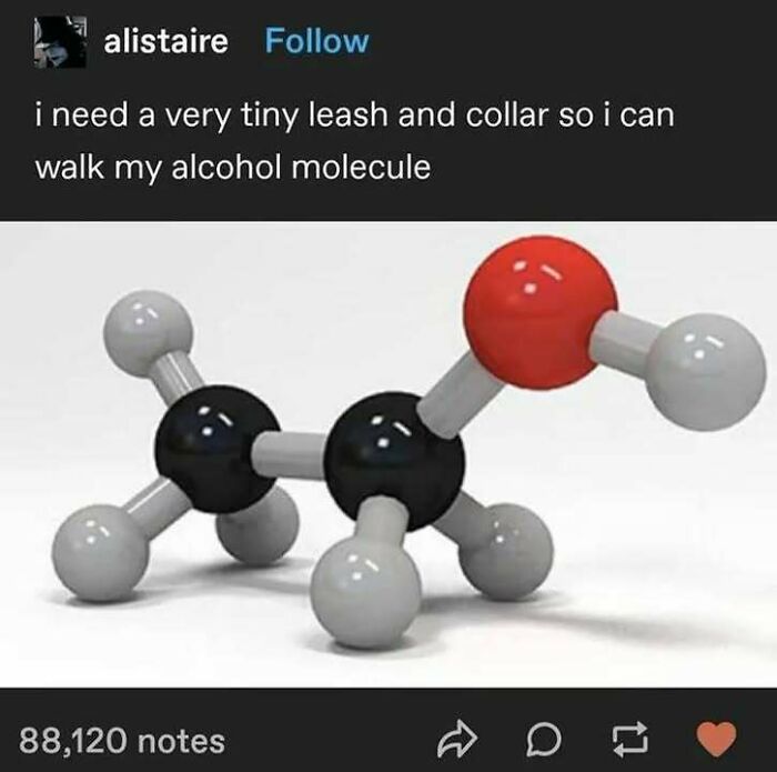 Wait, They Actually Ranked These Totally Bizarre Memes?!