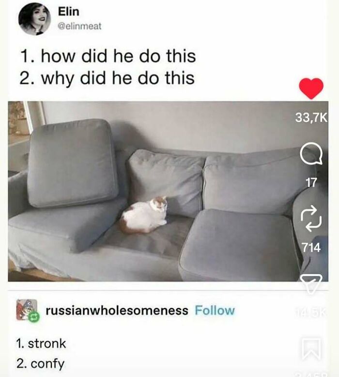 Wait, They Actually Ranked These Totally Bizarre Memes?!