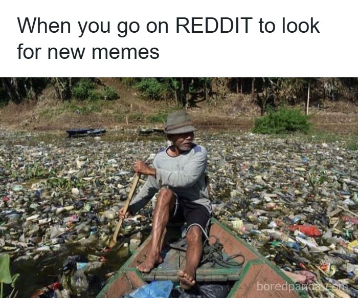 Wait, They Actually Ranked These Totally Bizarre Memes?!