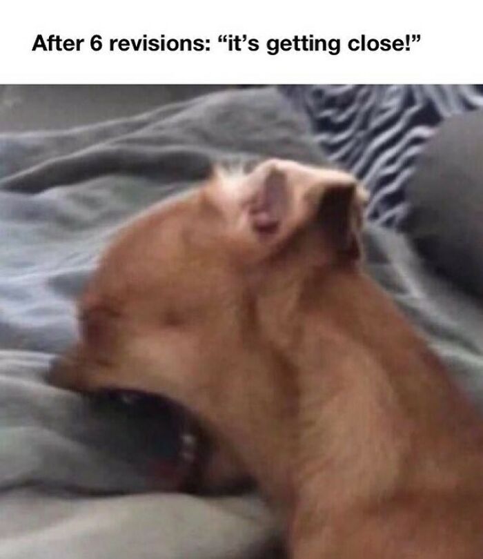 Wait, Designers Actually Made Memes About Their Chaos? Yes, And They're Hilarious!