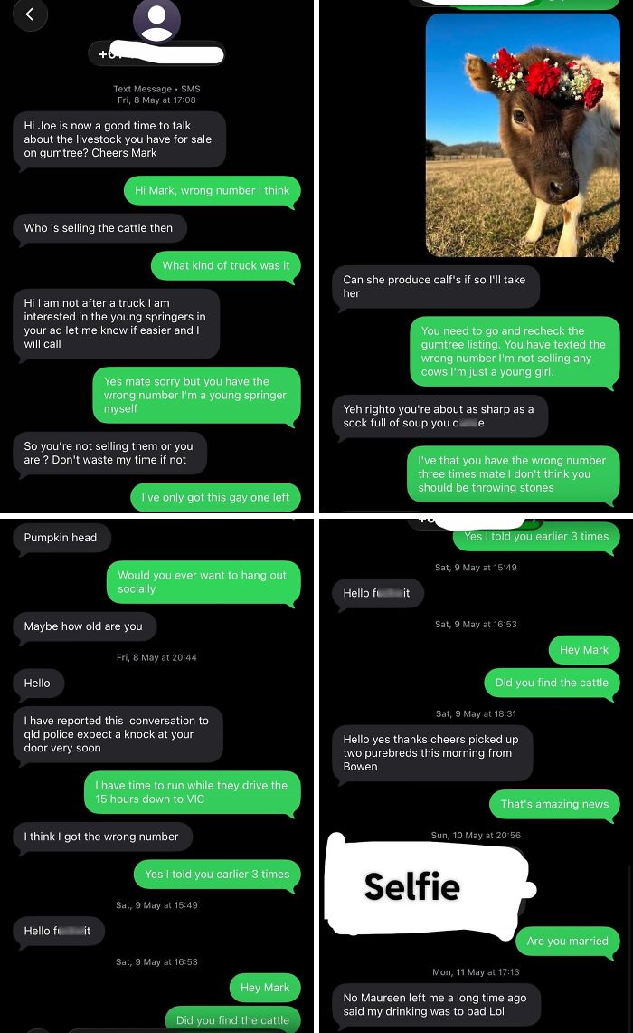 Who’s Selling the Cattle Then?
