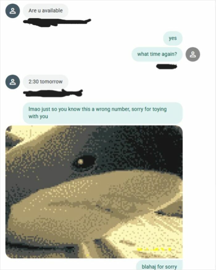 Blahaj for Sorry