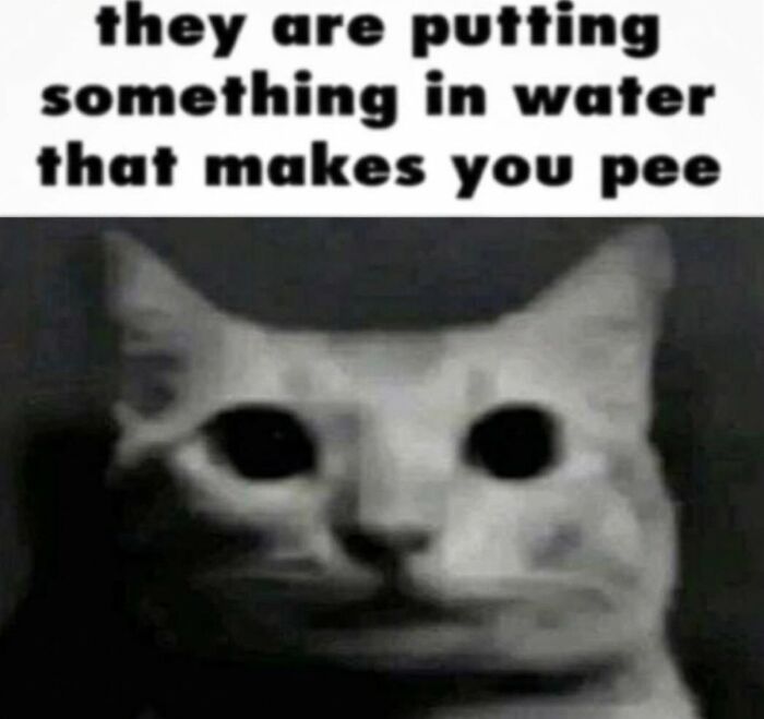 Wait Till You See These: 75 Hilariously Cringe-Worthy Moments That Hurt So Good