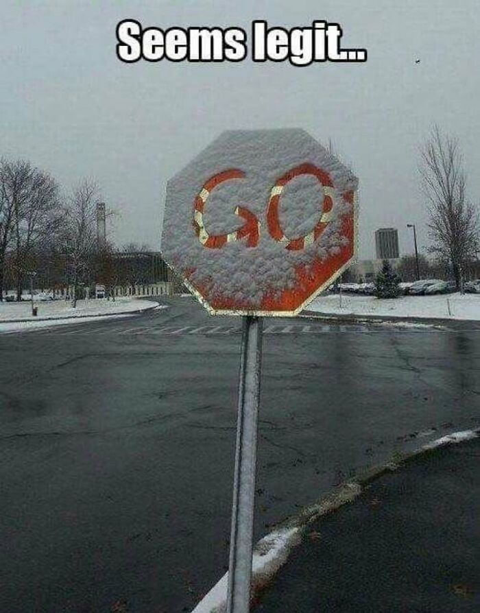 Wait Till You See These: 75 Hilariously Cringe-Worthy Moments That Hurt So Good