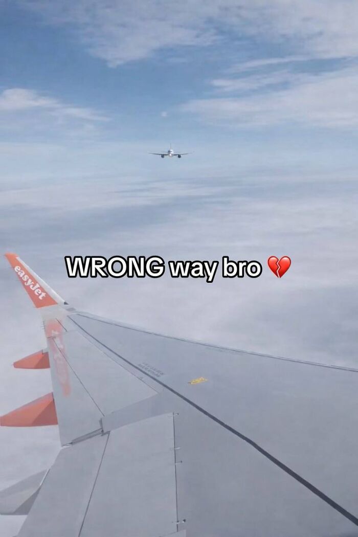 Wait Till You See These: 75 Hilariously Cringe-Worthy Moments That Hurt So Good