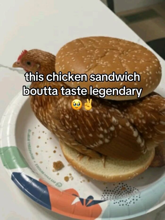 Wait Till You See These: 75 Hilariously Cringe-Worthy Moments That Hurt So Good