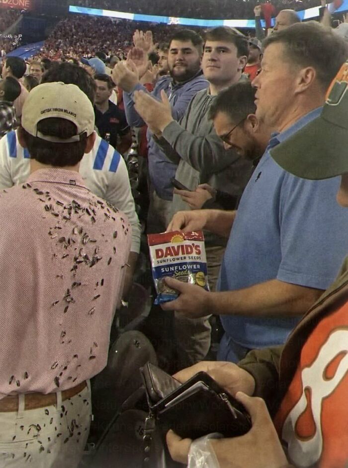 Wait Till You See These: 75 Hilariously Cringe-Worthy Moments That Hurt So Good