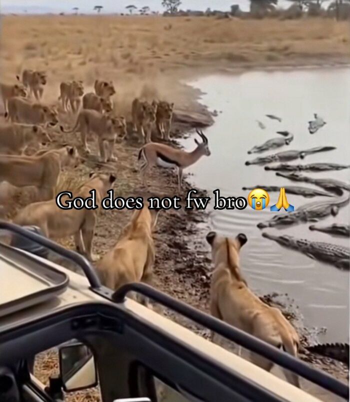 Wait Till You See These: 75 Hilariously Cringe-Worthy Moments That Hurt So Good