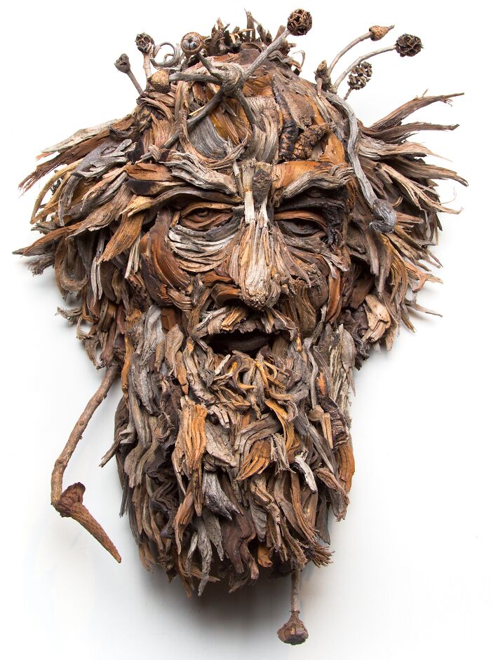 27 Wild Wood Sculptures That Look Like Faces Just Popped Out of Nature!