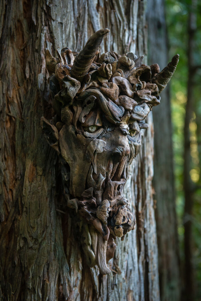 27 Wild Wood Sculptures That Look Like Faces Just Popped Out of Nature!