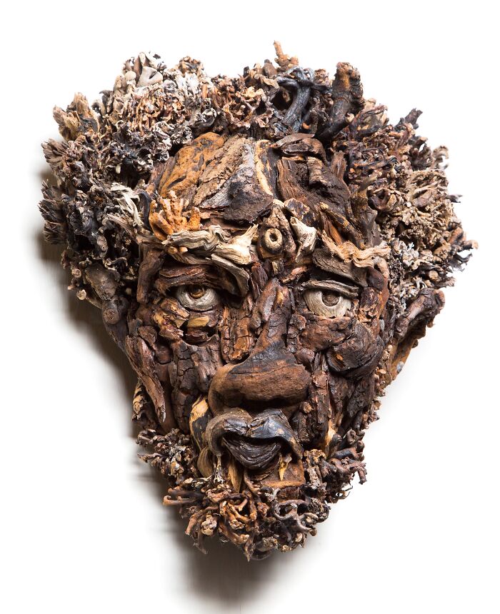 27 Wild Wood Sculptures That Look Like Faces Just Popped Out of Nature!