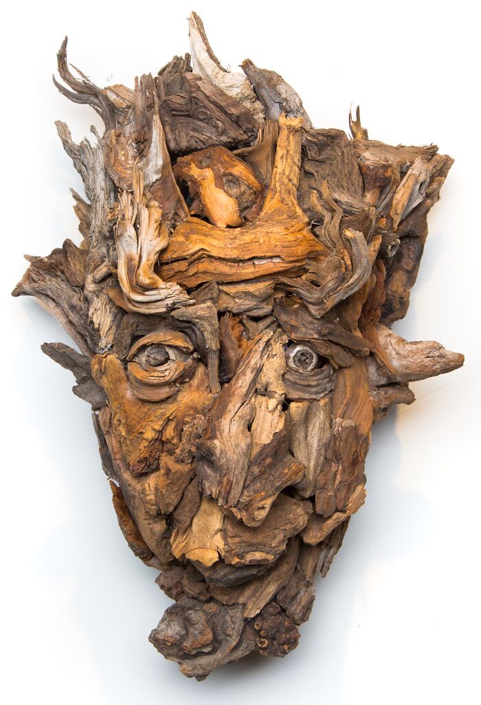 27 Wild Wood Sculptures That Look Like Faces Just Popped Out of Nature!
