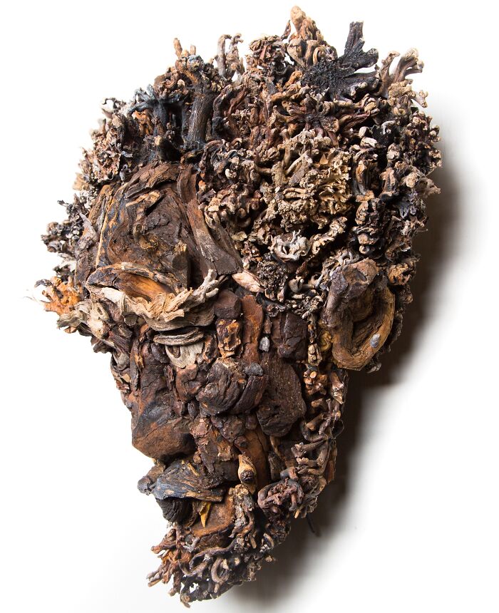 27 Wild Wood Sculptures That Look Like Faces Just Popped Out of Nature!