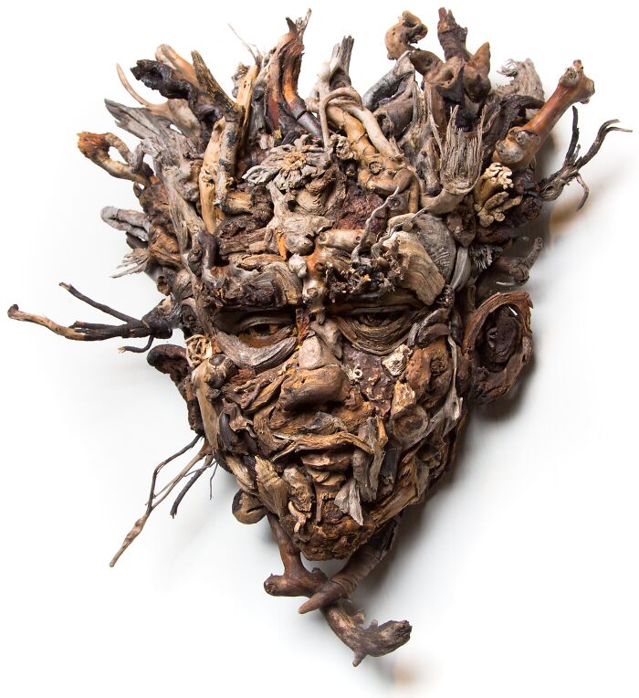 27 Wild Wood Sculptures That Look Like Faces Just Popped Out of Nature!