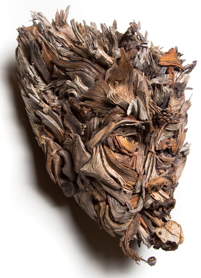 27 Wild Wood Sculptures That Look Like Faces Just Popped Out of Nature!