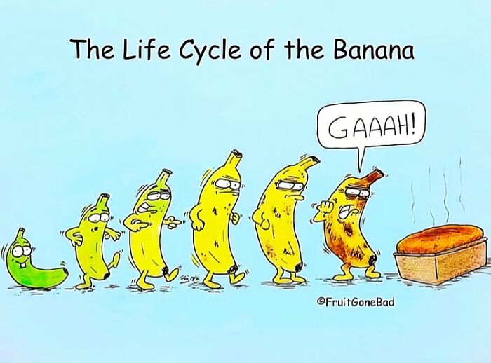 40 Fruit Comics That Are So Bad, They’re Actually Pure Comedy Gold
