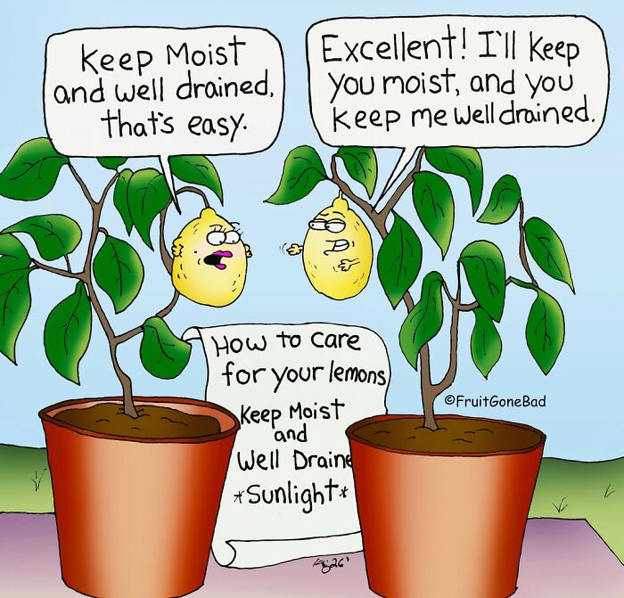 40 Fruit Comics That Are So Bad, They’re Actually Pure Comedy Gold