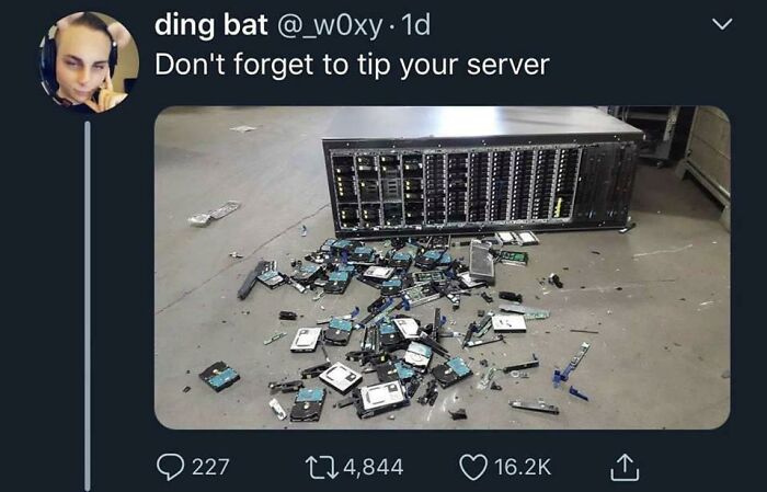Confused But Trying Their Best