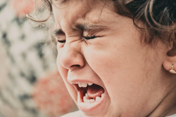 Wait, People Saw WHAT in Public?! 35 Wild Stories You Won’t Believe